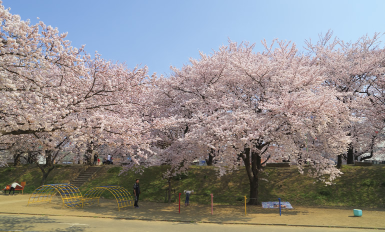 万平公園