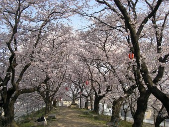 万平公園