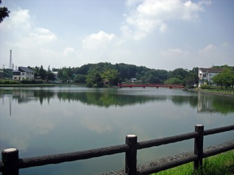 大沼公園