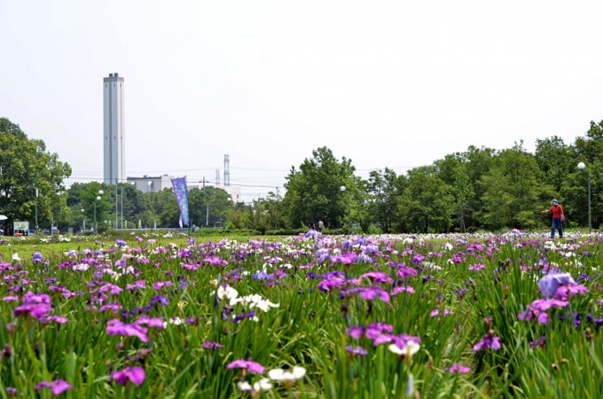 別府沼公園