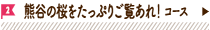 熊谷の桜をたっぷりご覧あれ！コース