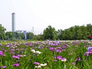 別府沼公園