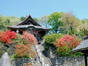 三ヶ尻観音山龍泉寺